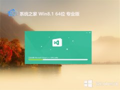 ϵͳ֮64λwin8.1°v2023.06