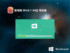 ëwin8.1 64λ羺ưv2023.06⼤