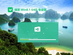 ̲ϵͳwin8.164λڲٰv2023.06