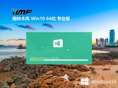ľwin10ҵʰ64λv2025.03