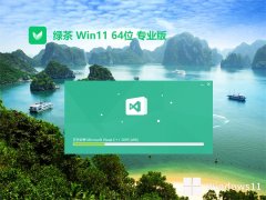̲ϵͳv2025.05win11 64λ޹ٰ
