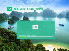 ̲ϵͳv2024.05win11 64λ޹ٰ