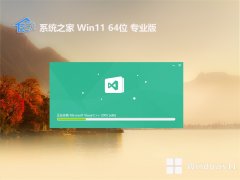 ϵͳ֮win1164λְv2025.05