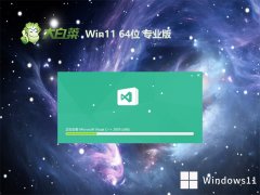 ײv2024.04win11 64λĿɿ