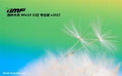 雨林木风最新32位win10普通汉化版v2022.09