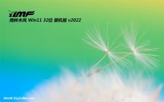 雨林木风最新win11 32位稳定内部版v2022.10